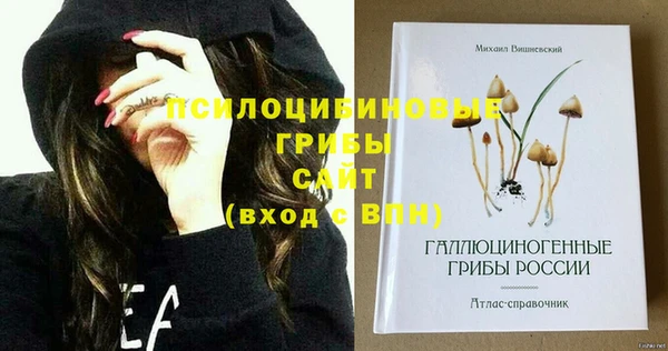 бошки Абаза