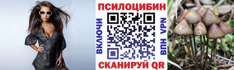 сколько стоит  Смоленск  Галлюциногенные грибы Cubensis 