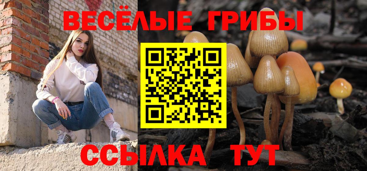 Псилоцибиновые грибы Psilocybe  Вход с VPN  Смоленск 