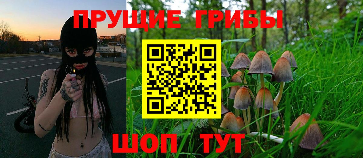 Псилоцибиновые грибы прущие грибы Смоленск